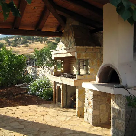 Stelina * 克兰尼蒂